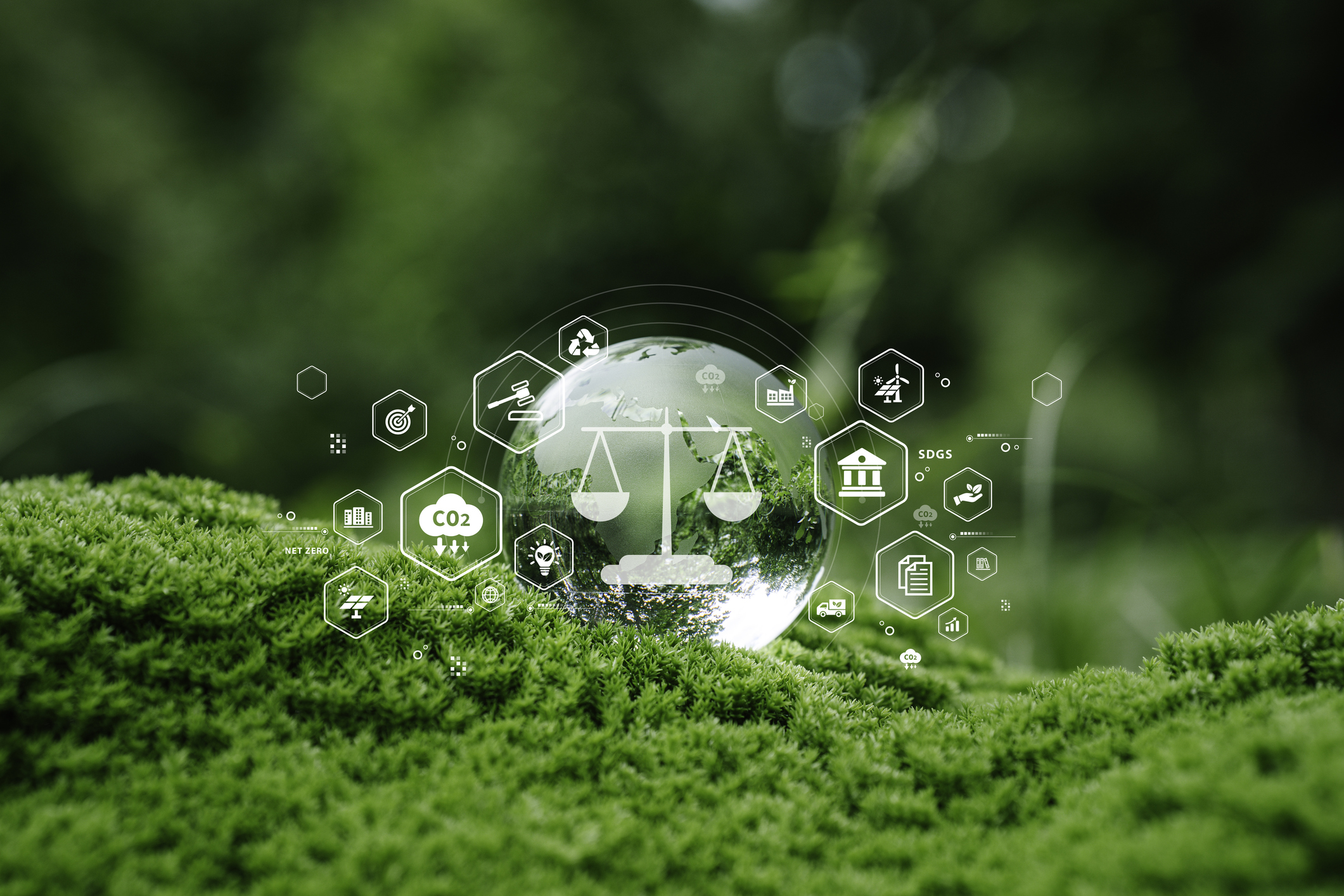 Nach der ESG-Regulierung kommen die ESG-Klagen